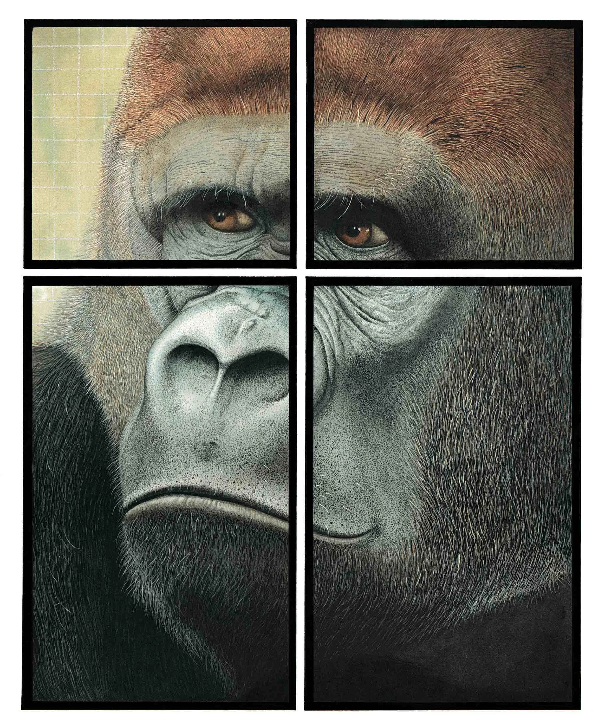 Zoo — Anthony Browne Books